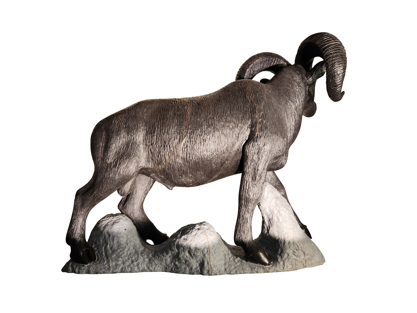 Bighorn