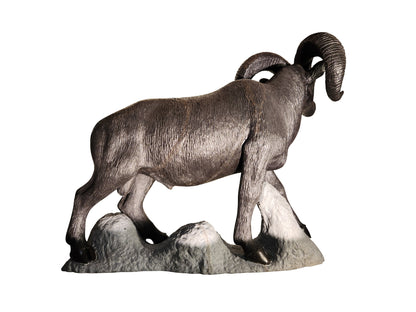 Bighorn