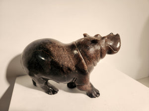 Happy Hippo