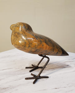 Curious Bird. Color Range: Orange, Blue, Brown, Black. 