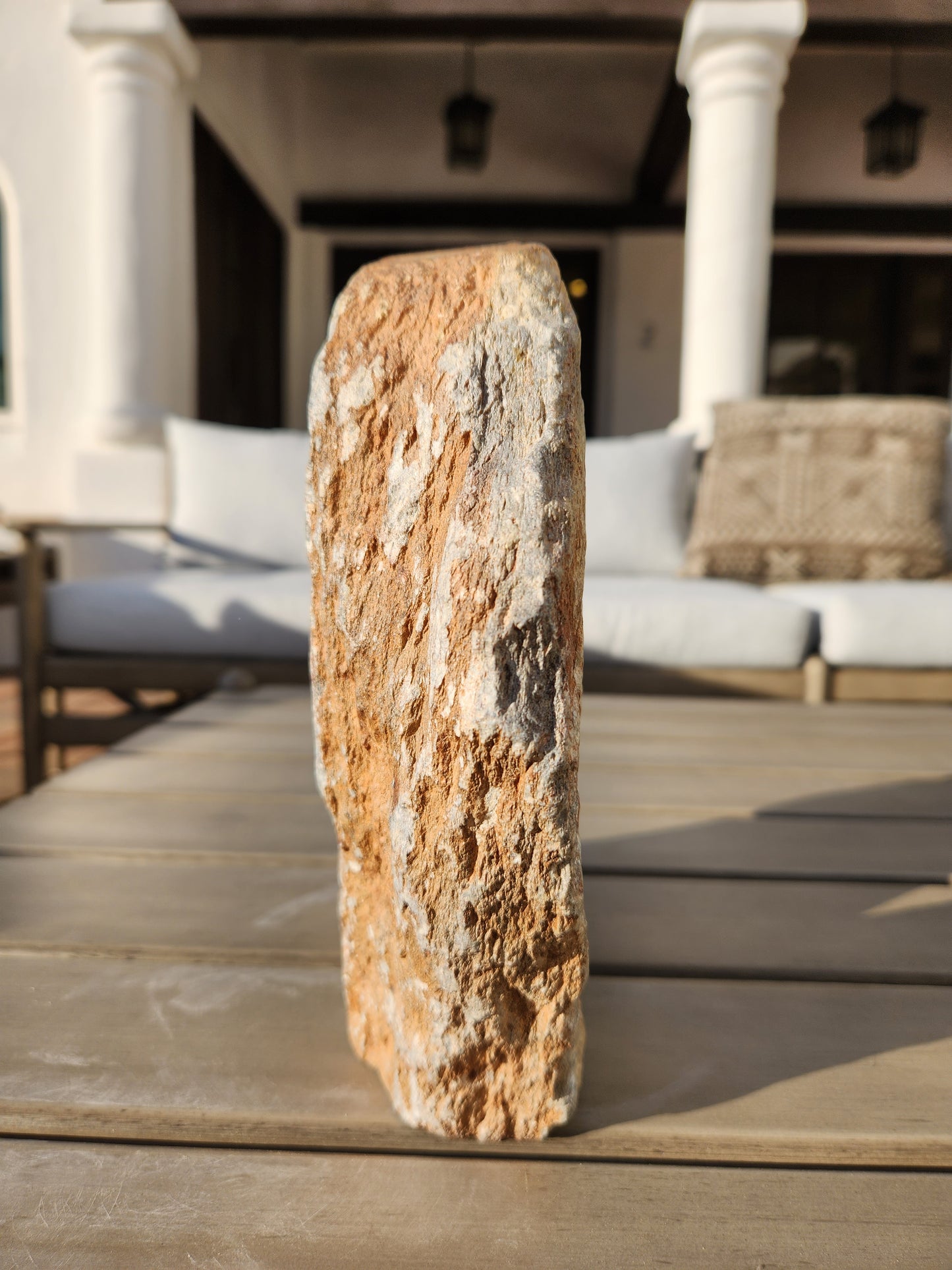 V1. Meyave Valentine