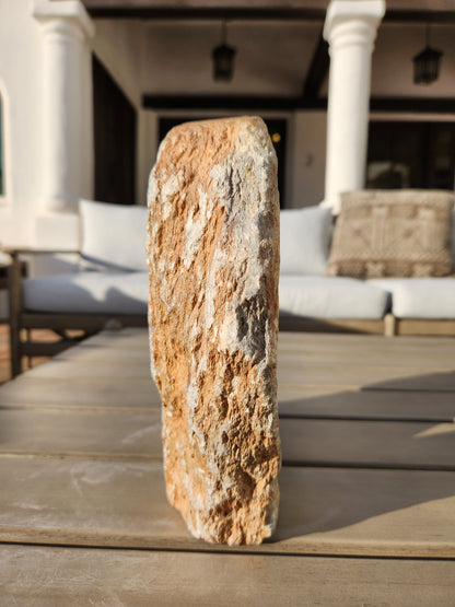 V1. Meyave Valentine