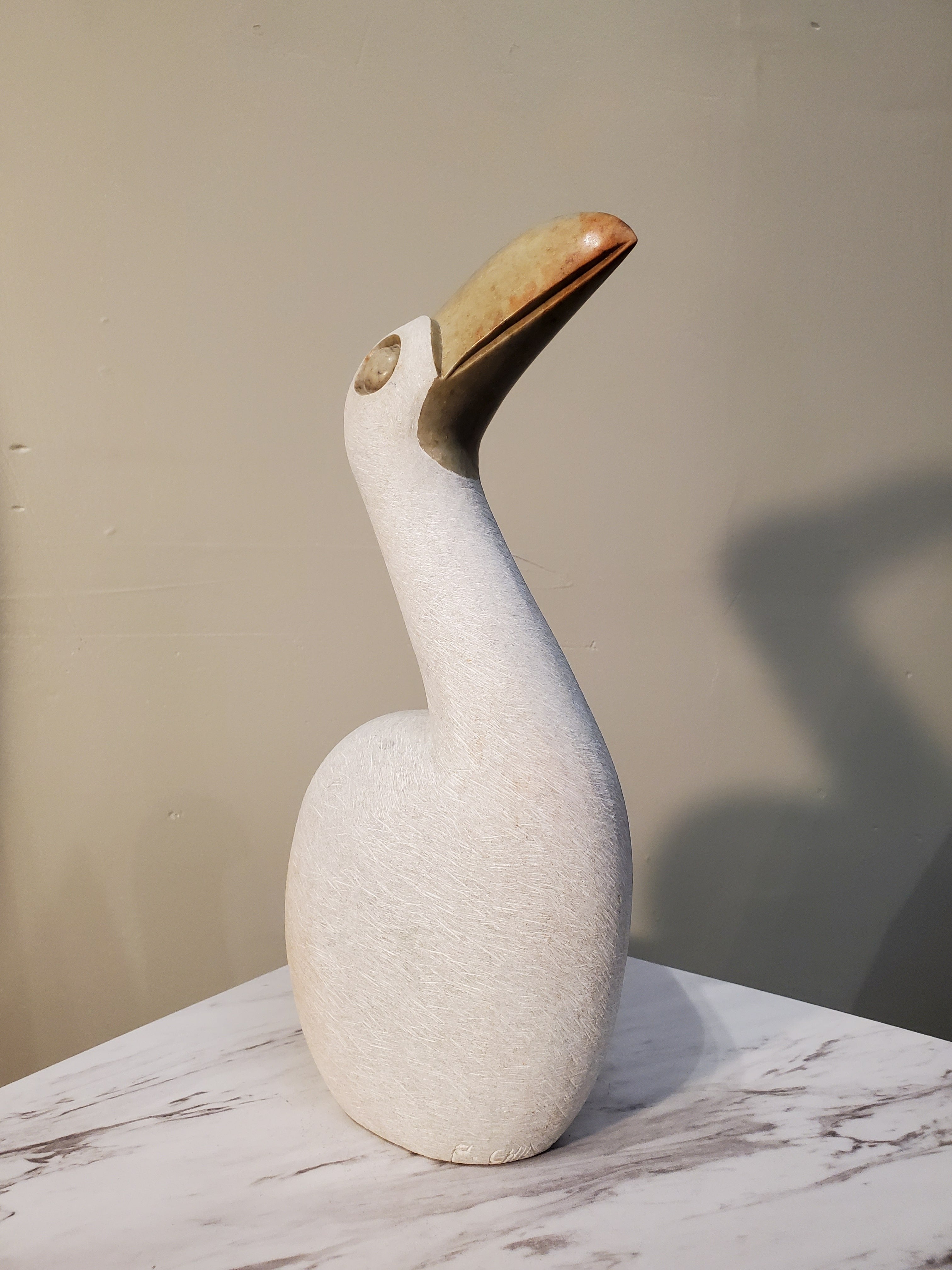 White Pelican Bird sitting looking up curiously. The bird has a beautiful gold beak. Colors Include: Gold, White.