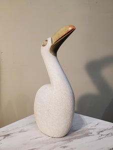 White Pelican Bird sitting looking up curiously. The bird has a beautiful gold beak. Colors Include: Gold, White.