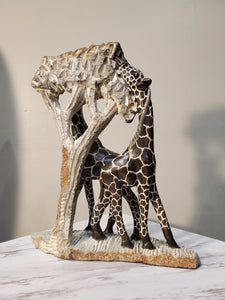 Two giraffes eating from a tree. The giraffes have a beautiful pattern of brown circles outlined in white. Colors include: Brown, White, Tan.