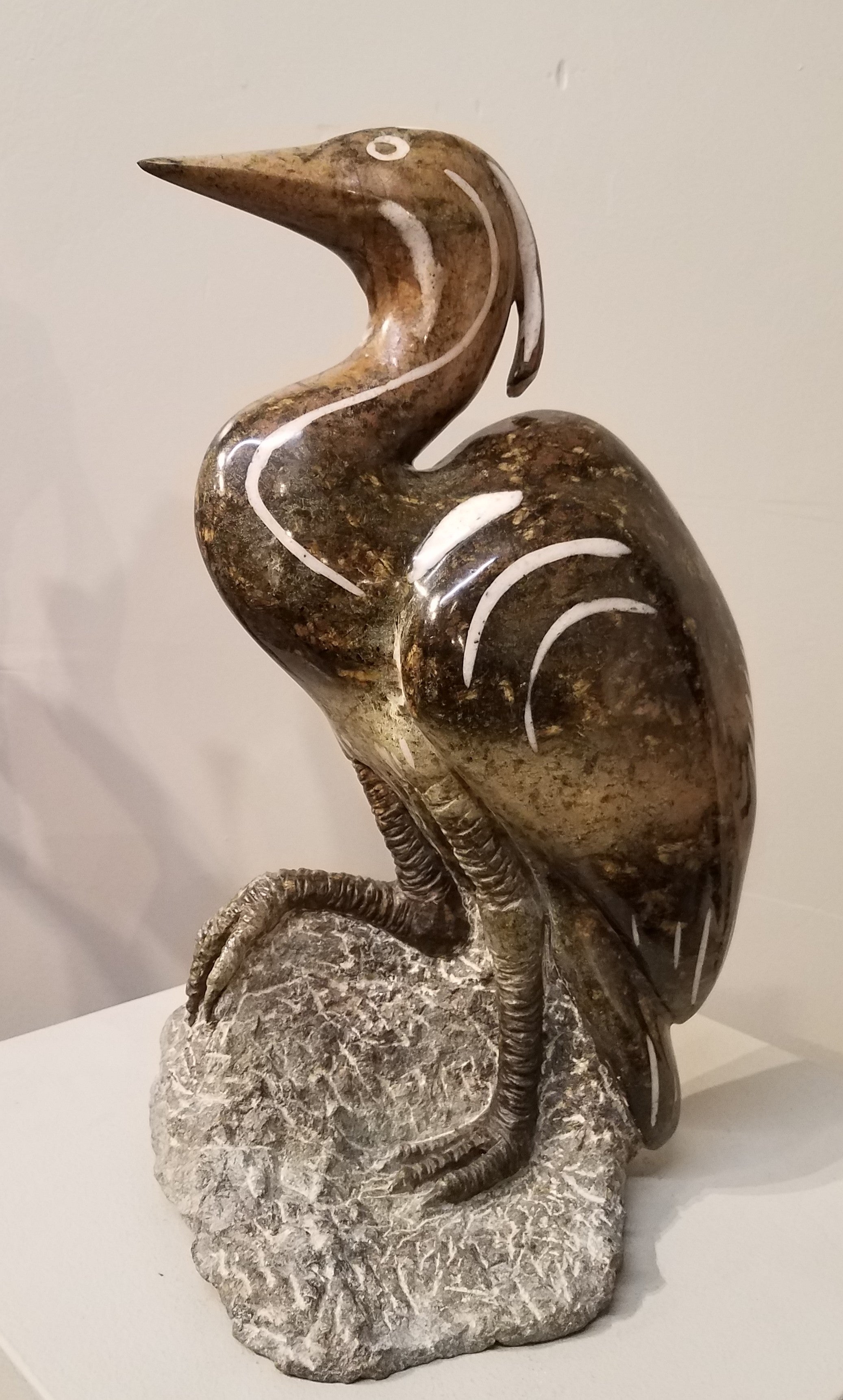 Heron. Color Range: Brown, Grey, Green.