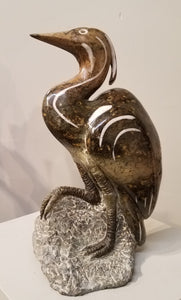 Heron. Color Range: Brown, Grey, Green.