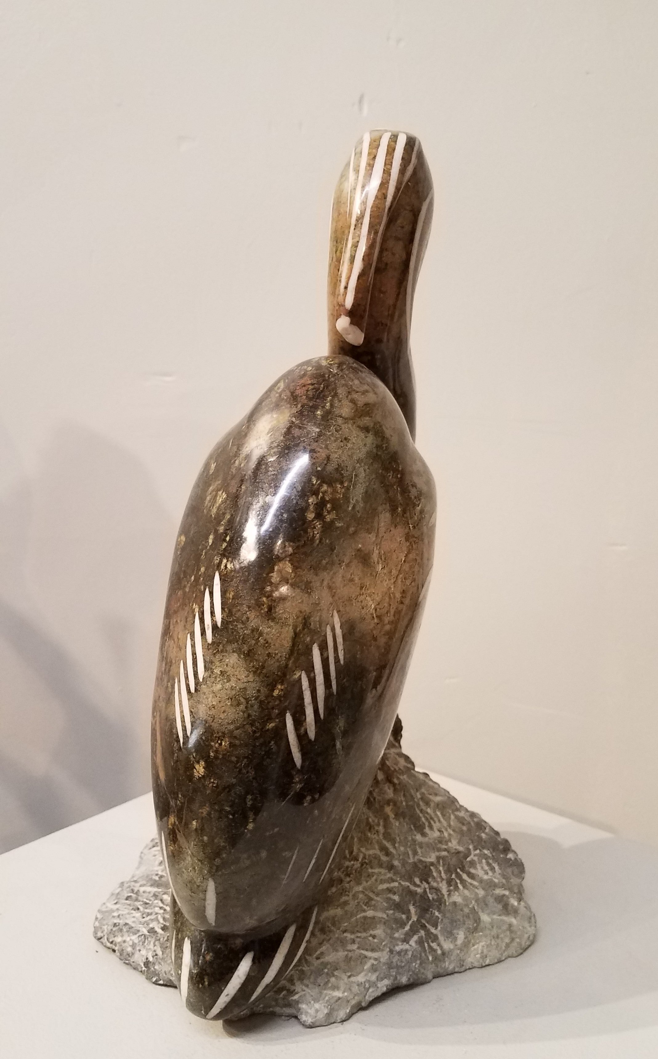 Heron. Color Range: Brown, Grey, Green.