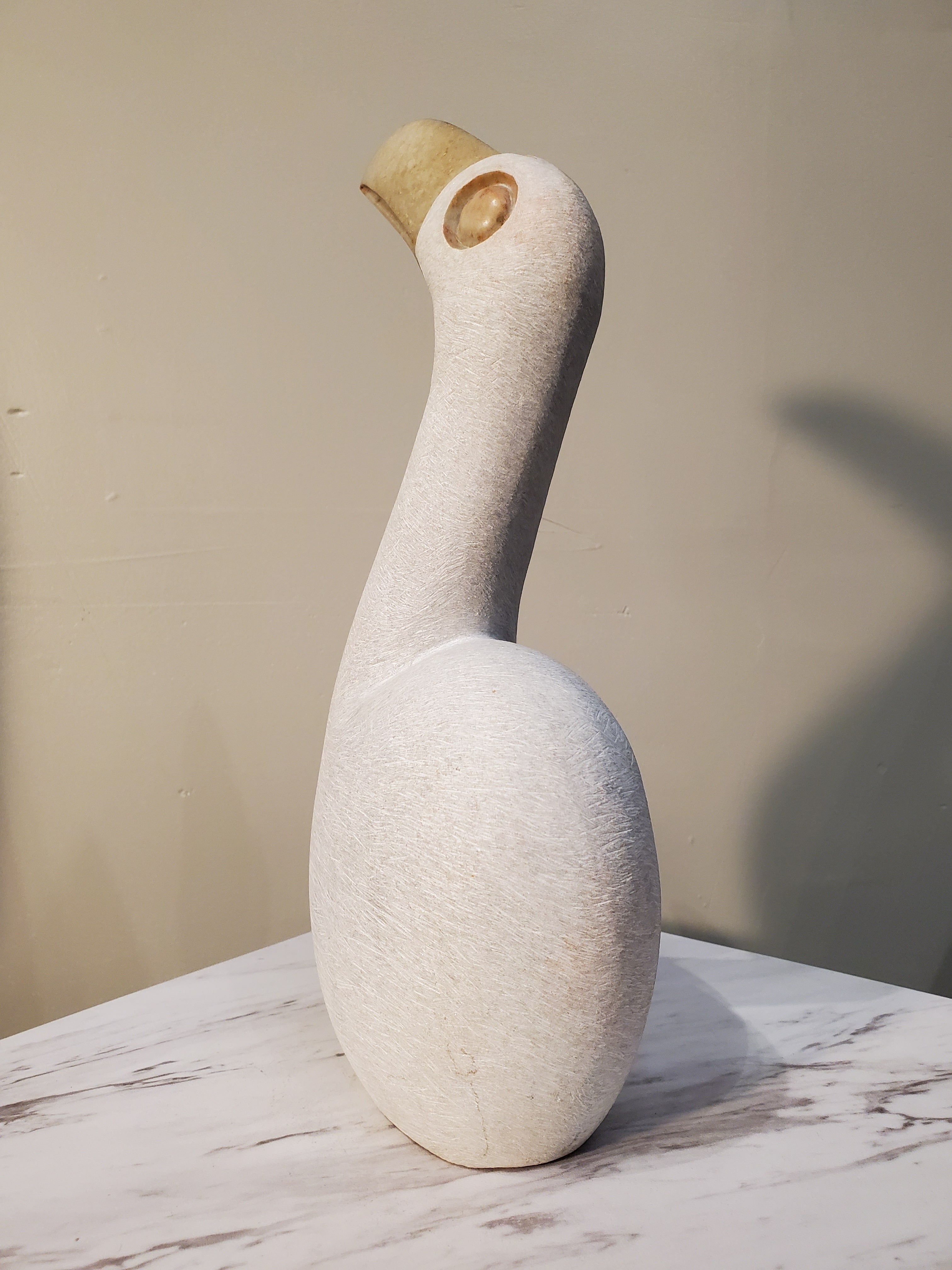 White Pelican Bird sitting looking up curiously. The bird has a beautiful gold beak. Colors Include: Gold, White.