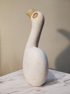 White Pelican Bird sitting looking up curiously. The bird has a beautiful gold beak. Colors Include: Gold, White.