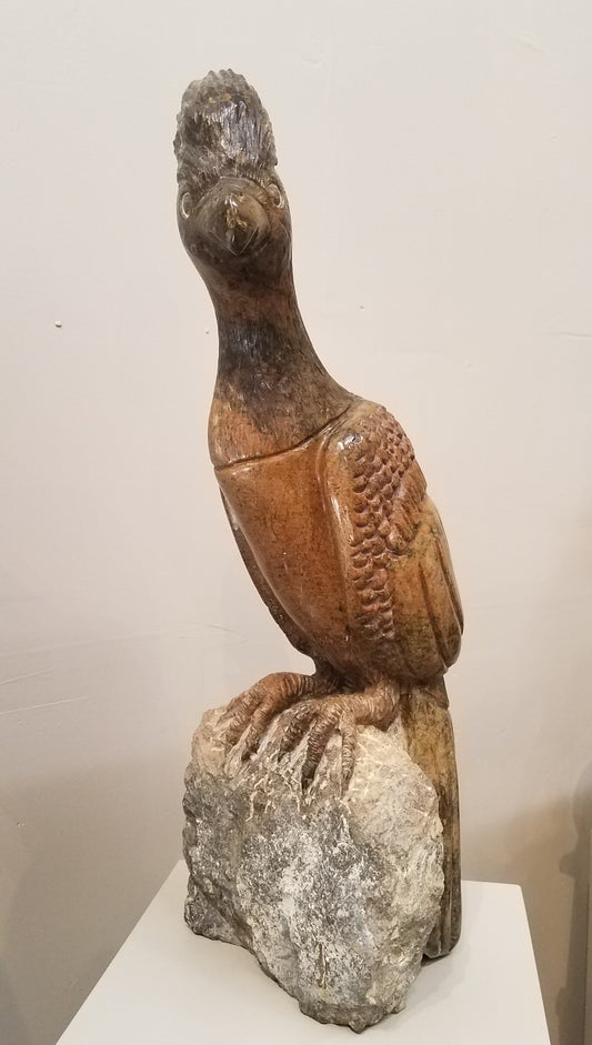 Go Away Bird. Color Range: Brown, Slate, Orange.