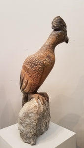 Go Away Bird. Color Range: Brown, Slate, Orange.