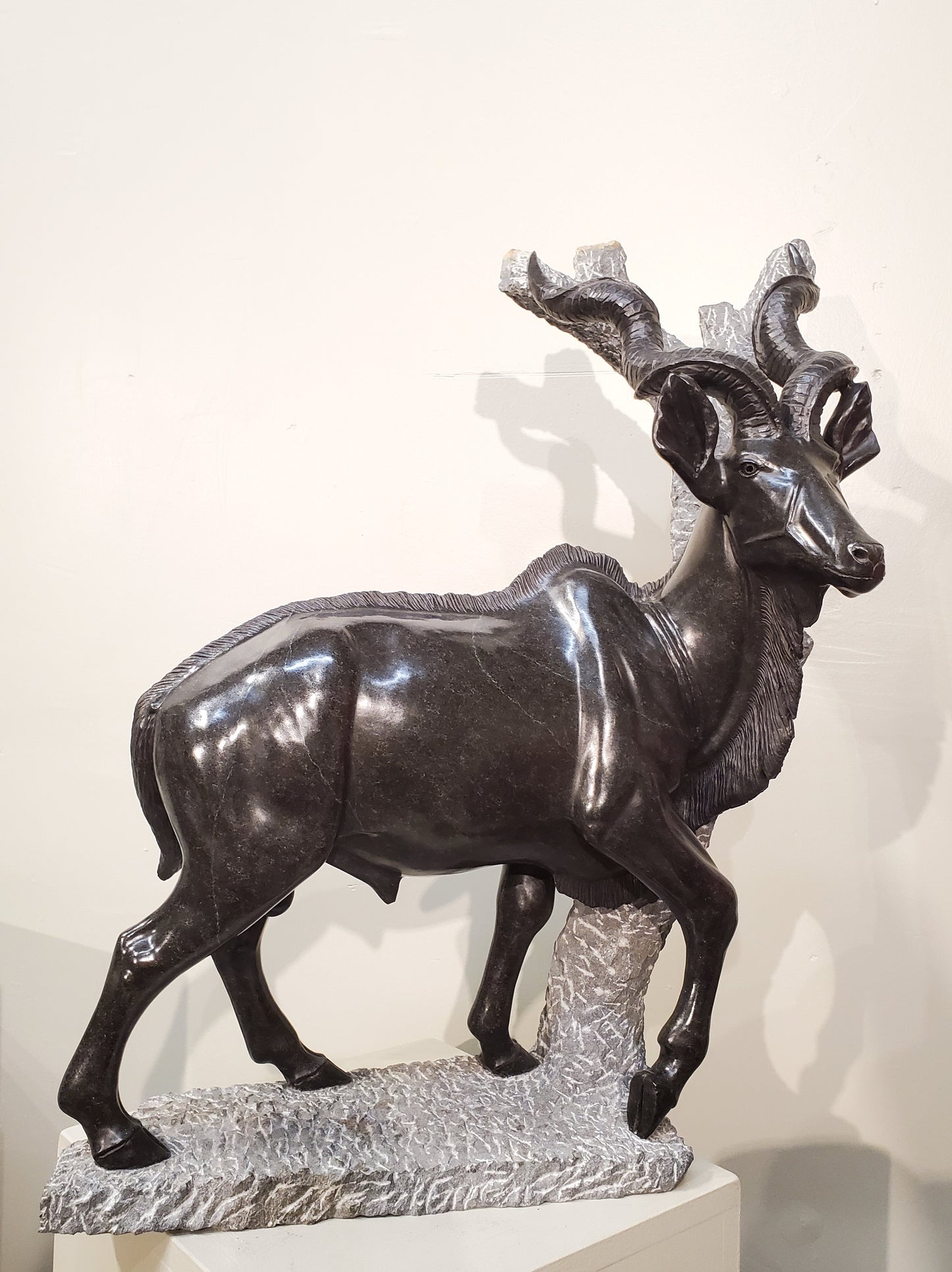 Majestic Kudu
