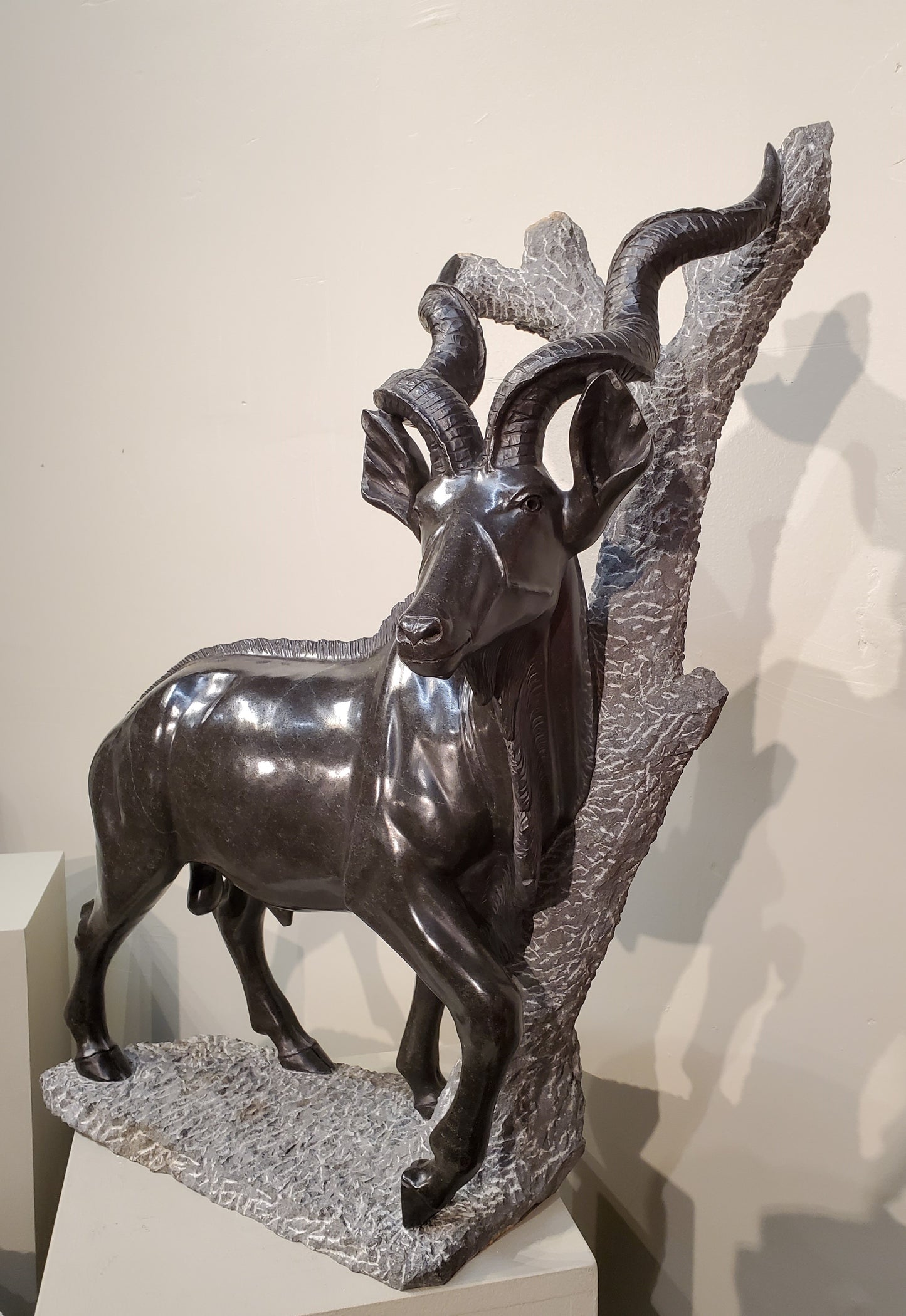 Majestic Kudu