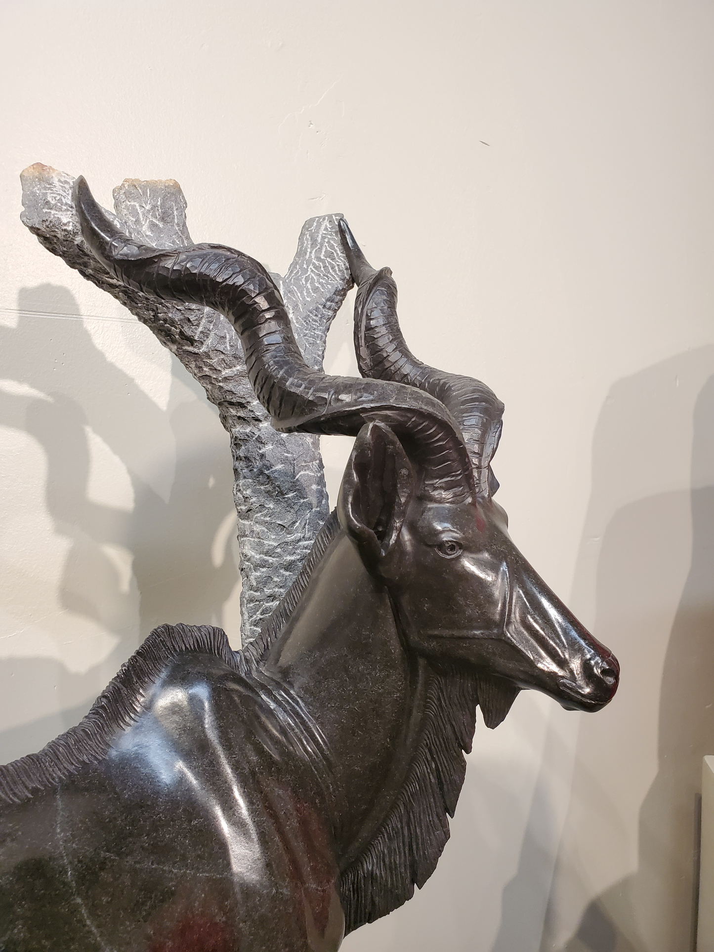 Majestic Kudu
