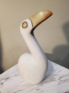 White Pelican Bird sitting looking up curiously. The bird has a beautiful gold beak. Colors Include: Gold, White.